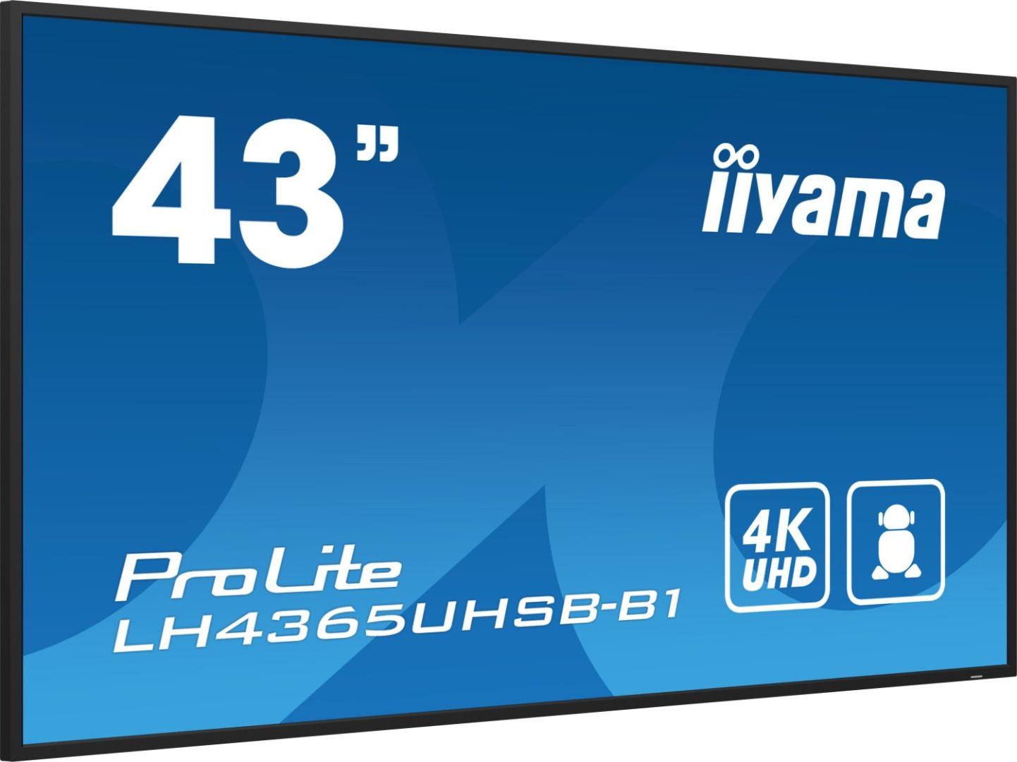 iiyama 42,5