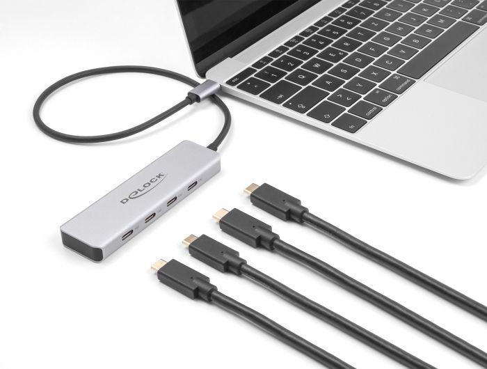 DeLock 4-port USB Type-C Hub 0,35m Grey