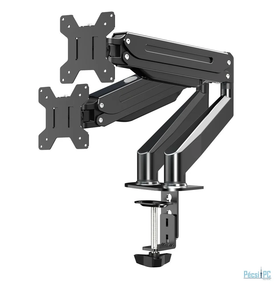 Esperanza ERW020 Mache desk mount for two monitors 17