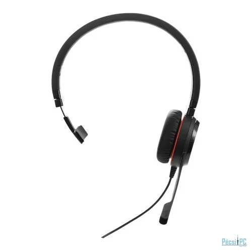 Jabra Evolve 20 SE MS Mono USB C/A Black