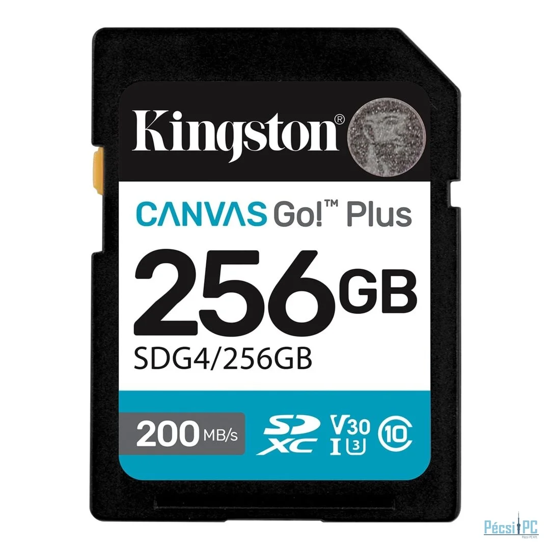 Kingston 256GB Canvas Go Plus Gen4 Class 10 UHS-I U3 V30