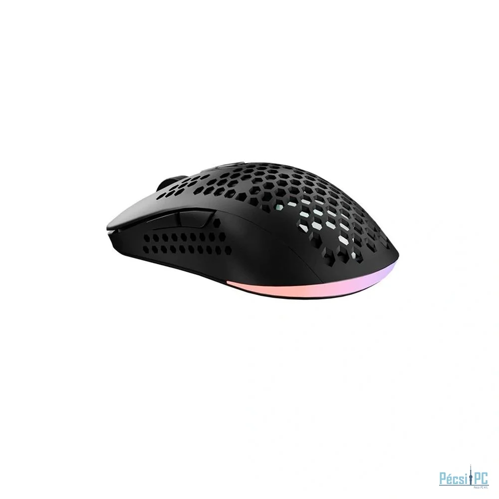 Avax LW01 PAW3327 RGB Gamer Mouse Black