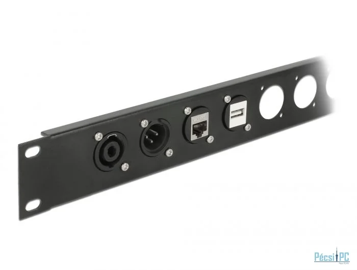 DeLock D-Type Module HDMI-A female to female Black