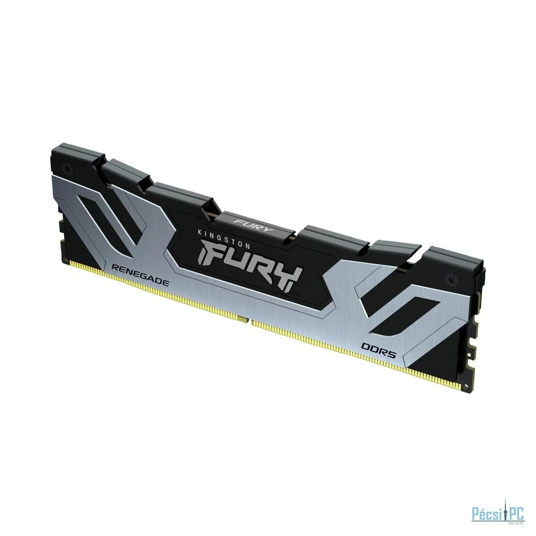 Kingston 24GB DDR5 8800MHz Fury Renegade Black/Silver