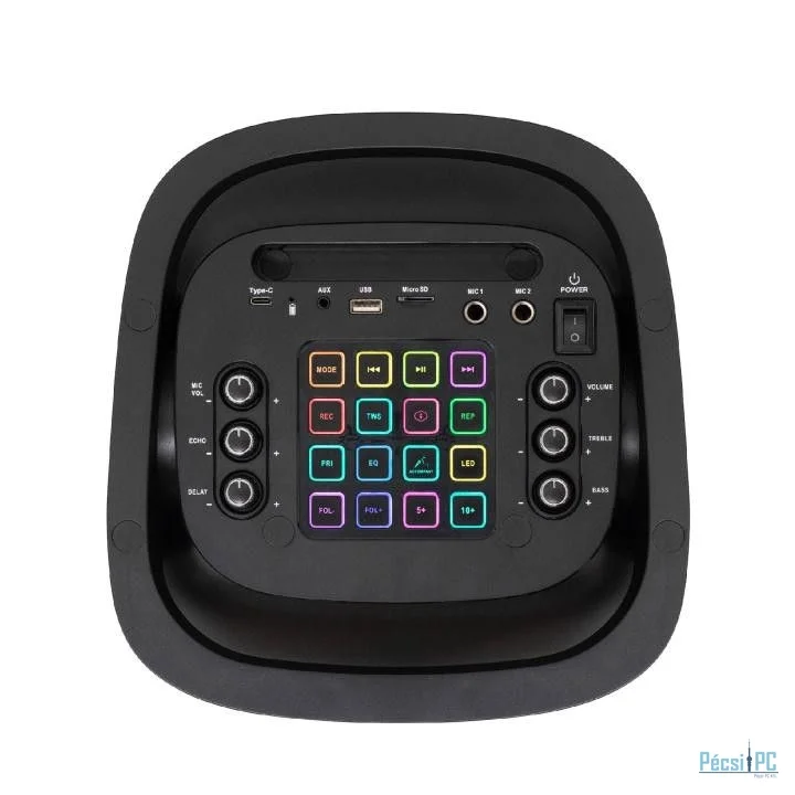 SAL PAR2100BT Party Speaker Black