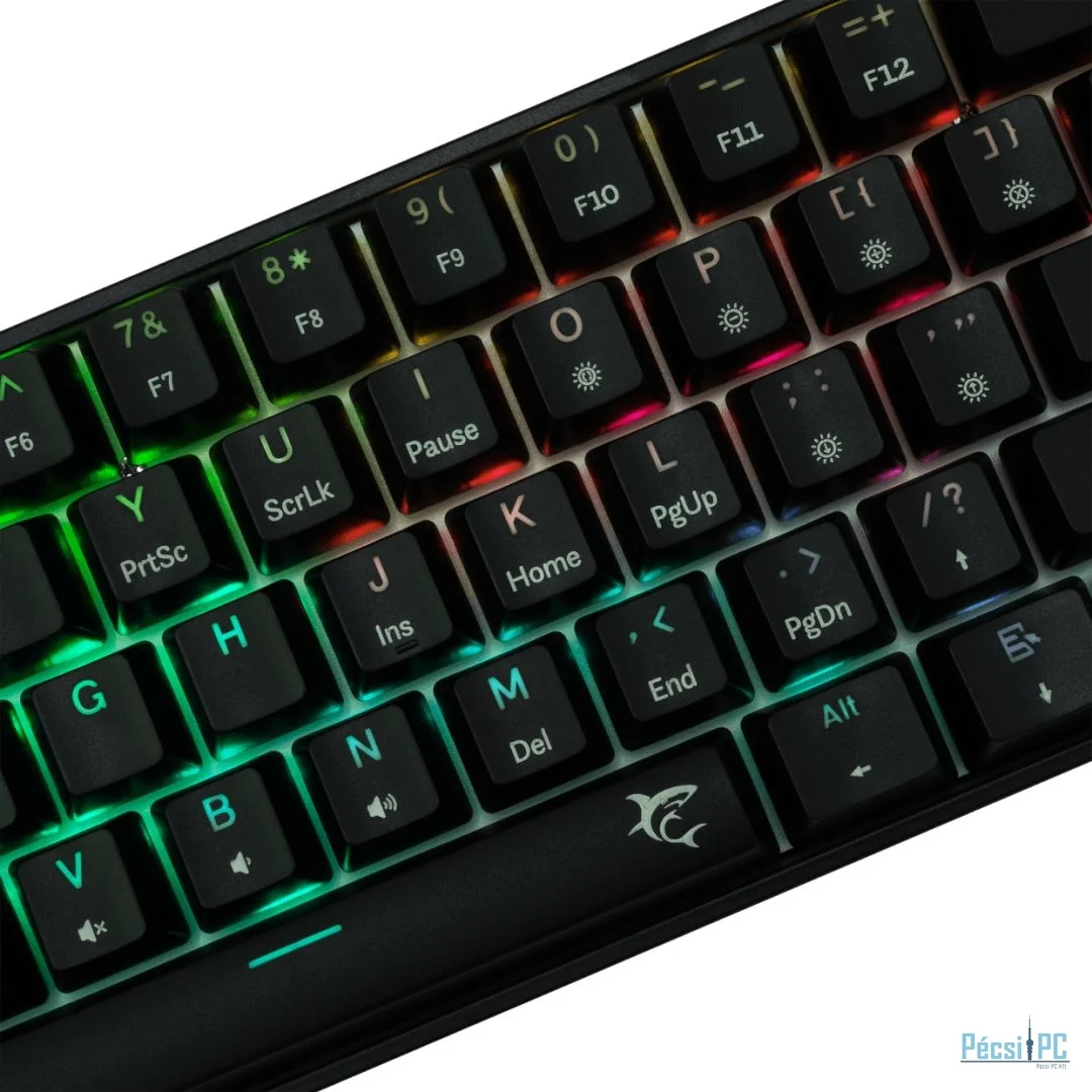 White Shark Shinobi 2 RGB Gaming keyboard Black US