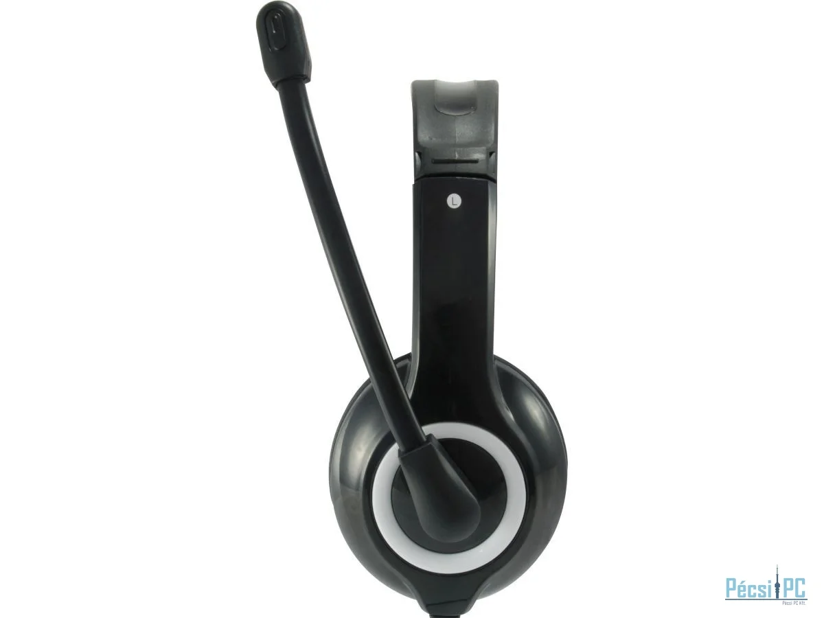EQuip 245301 USB Headset Black