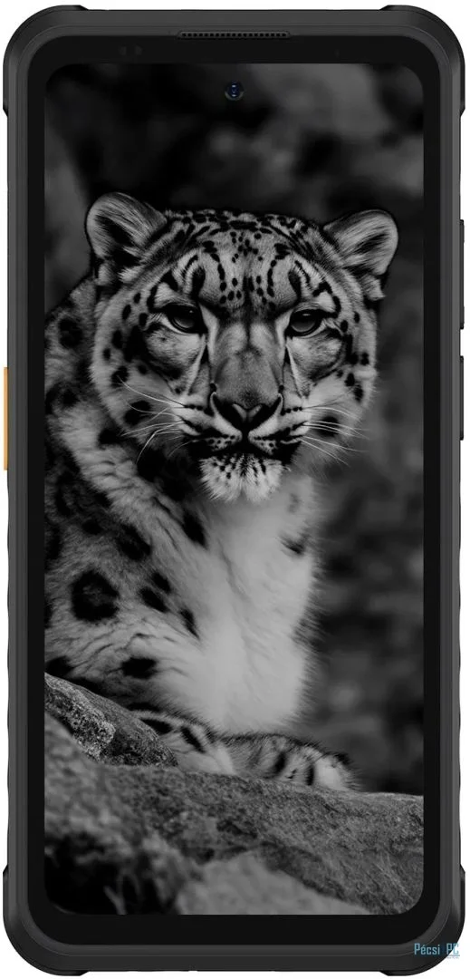 Ulefone Armor X31 128GB DualSIM Classic Black