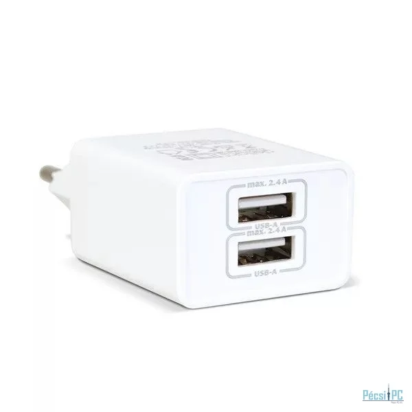 Delight USB-Ax2 charger adapter White