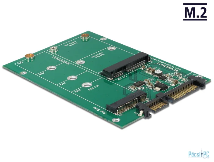 DeLock Converter SATA 22 pin > 1x M.2 + 1x mSATA