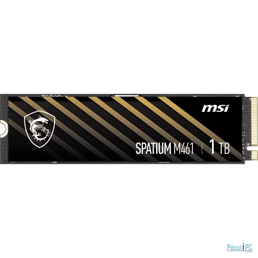 Msi 1TB M.2 2280 NVMe Spatium M461