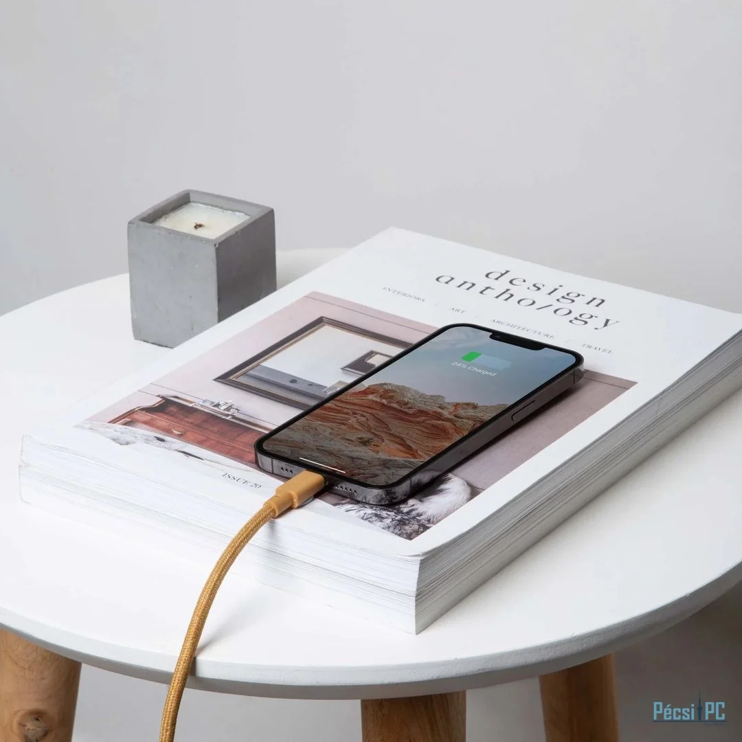 Native Union Belt USB-C to Lightning XL cable 3m Cosmos