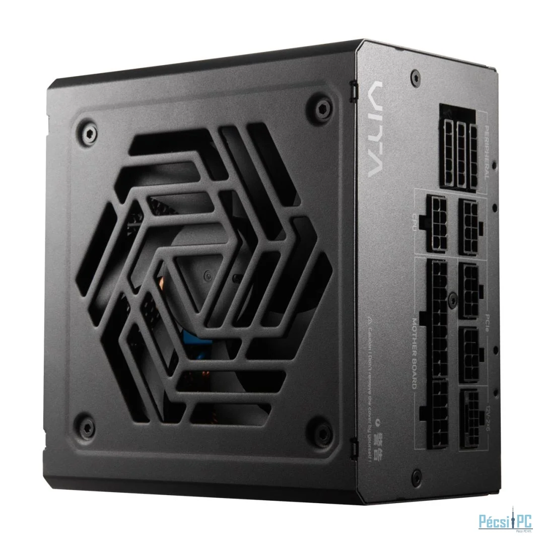 FSP 1000W 80+ Platinum VITA PM