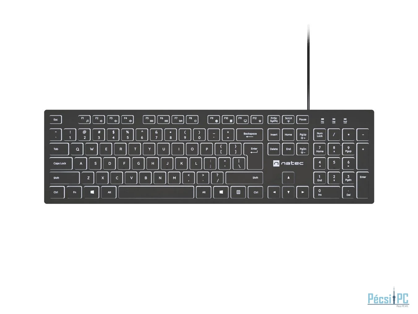 natec Herring Glow Keyboard Black US