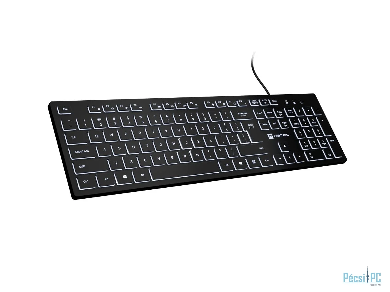 natec Herring Glow Keyboard Black US