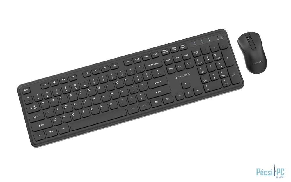 Gembird KBS-WPS-01 Slim Pro Business Wireless Keyboard Combo Black US