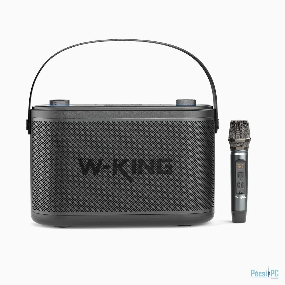W-King H10 Bluetooth Speaker Black