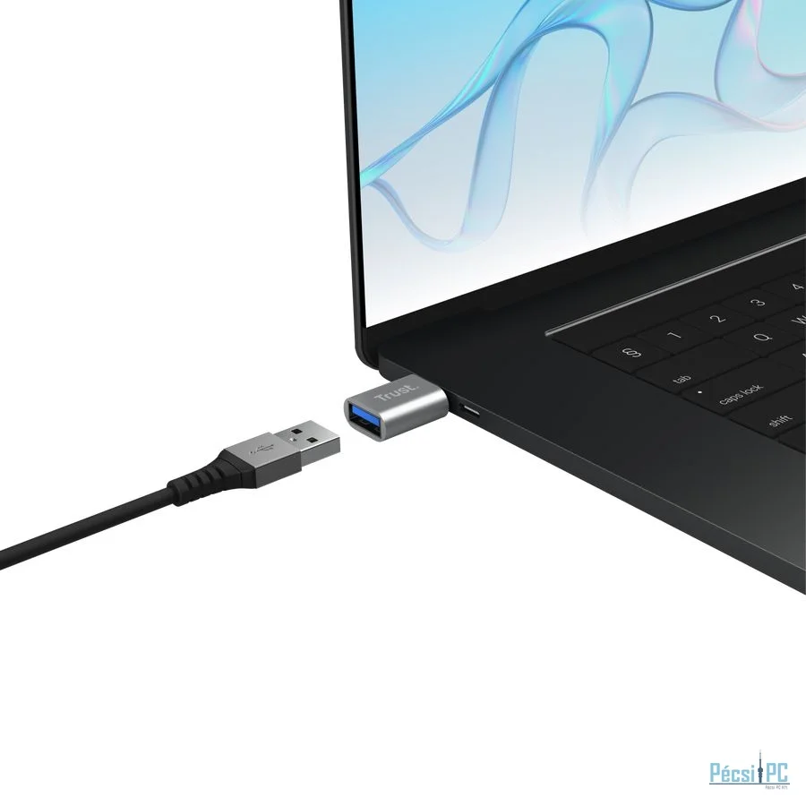 Trust Calyx USB-C to USB-A Adapter (2pack)