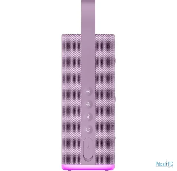 Xiaomi Sound Play Bluetooth Speaker Purple