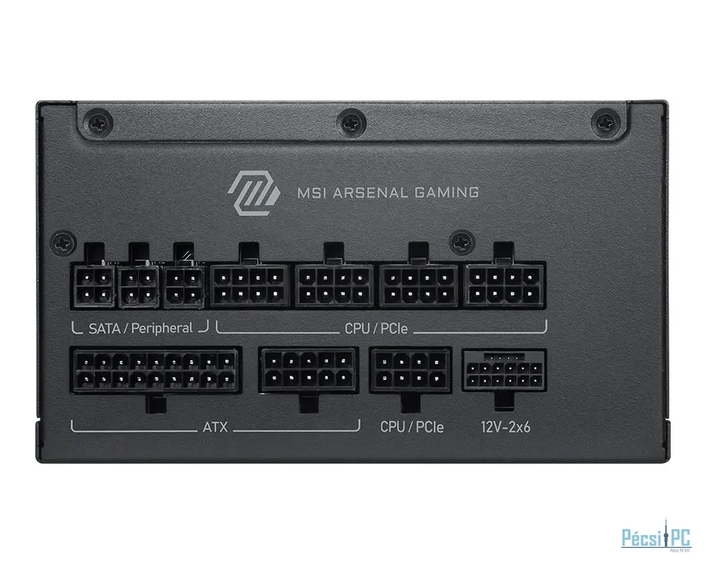 Msi 1000W 80+ Platinum MAG A1000PLS
