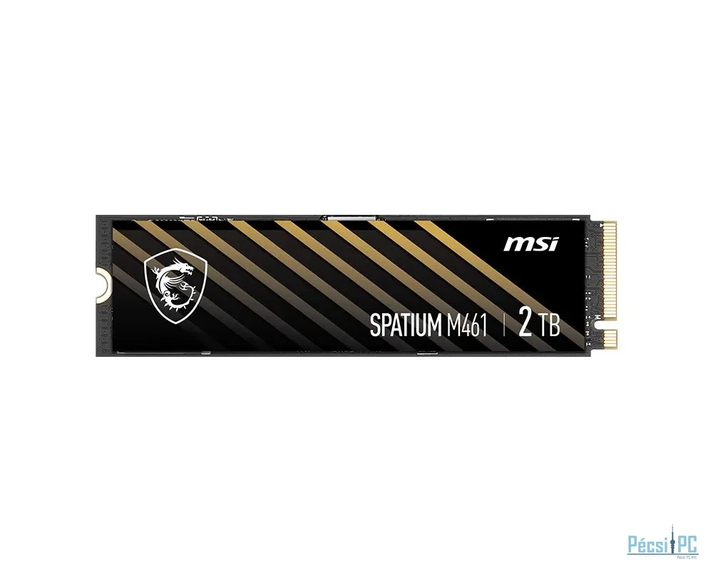 Msi 2TB M.2 2280 NVMe Spatium M461