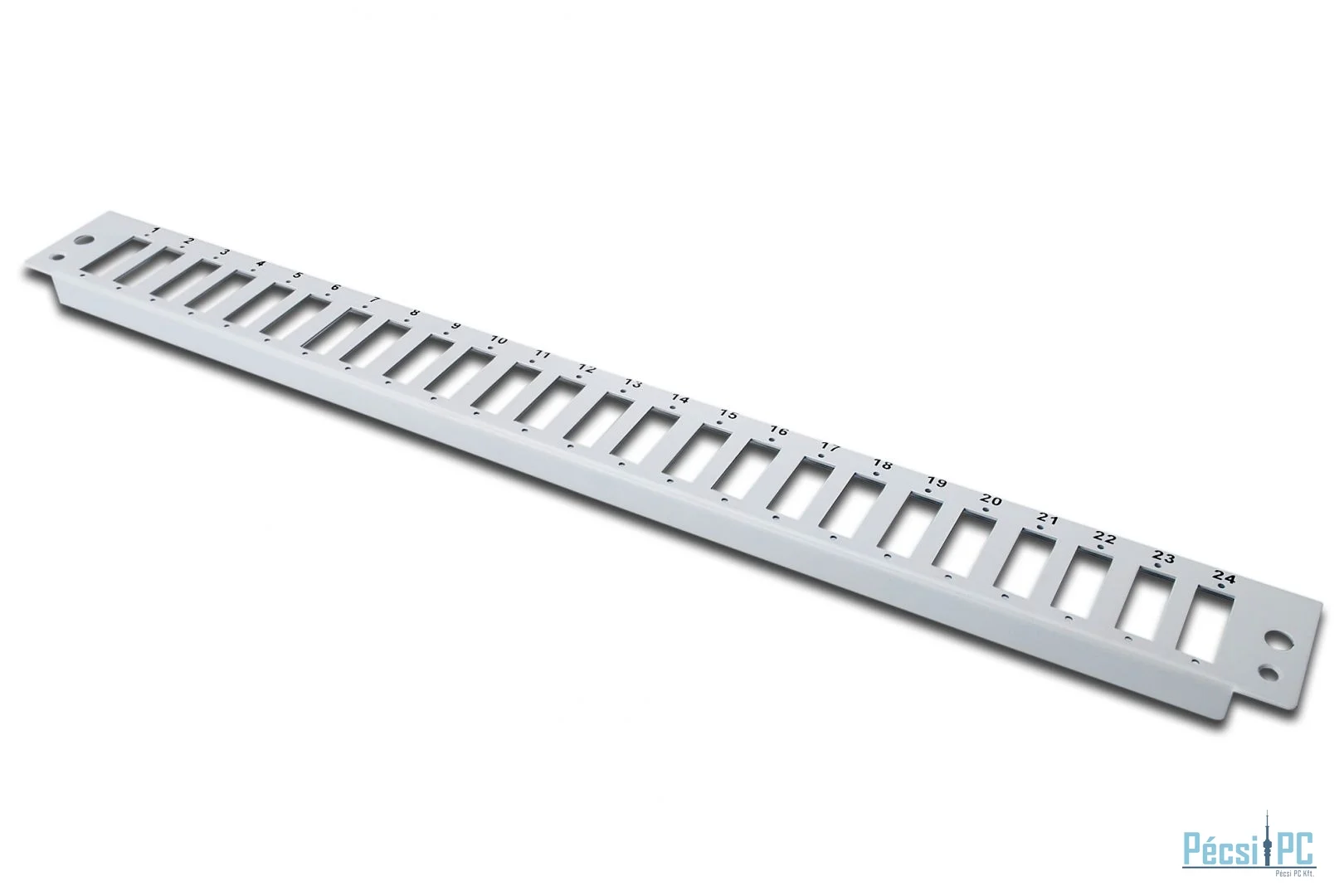 Digitus FO front panel, 1U, 12x ST, fixed